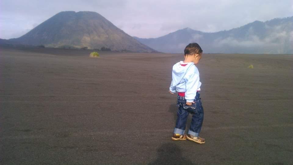 Picture
