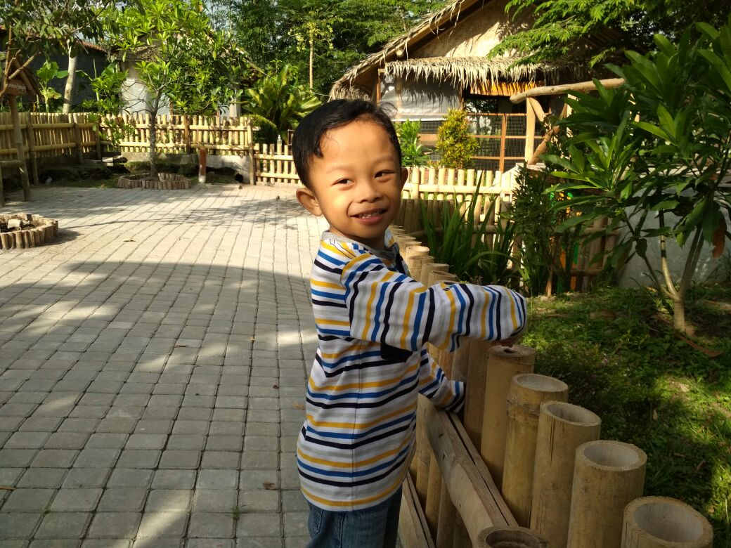 Picture