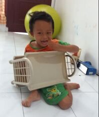 Picture
