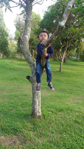 Picture
