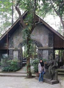 Picture