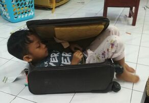 Picture